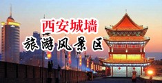 把大鸡巴插入逼里面视频中国陕西-西安城墙旅游风景区